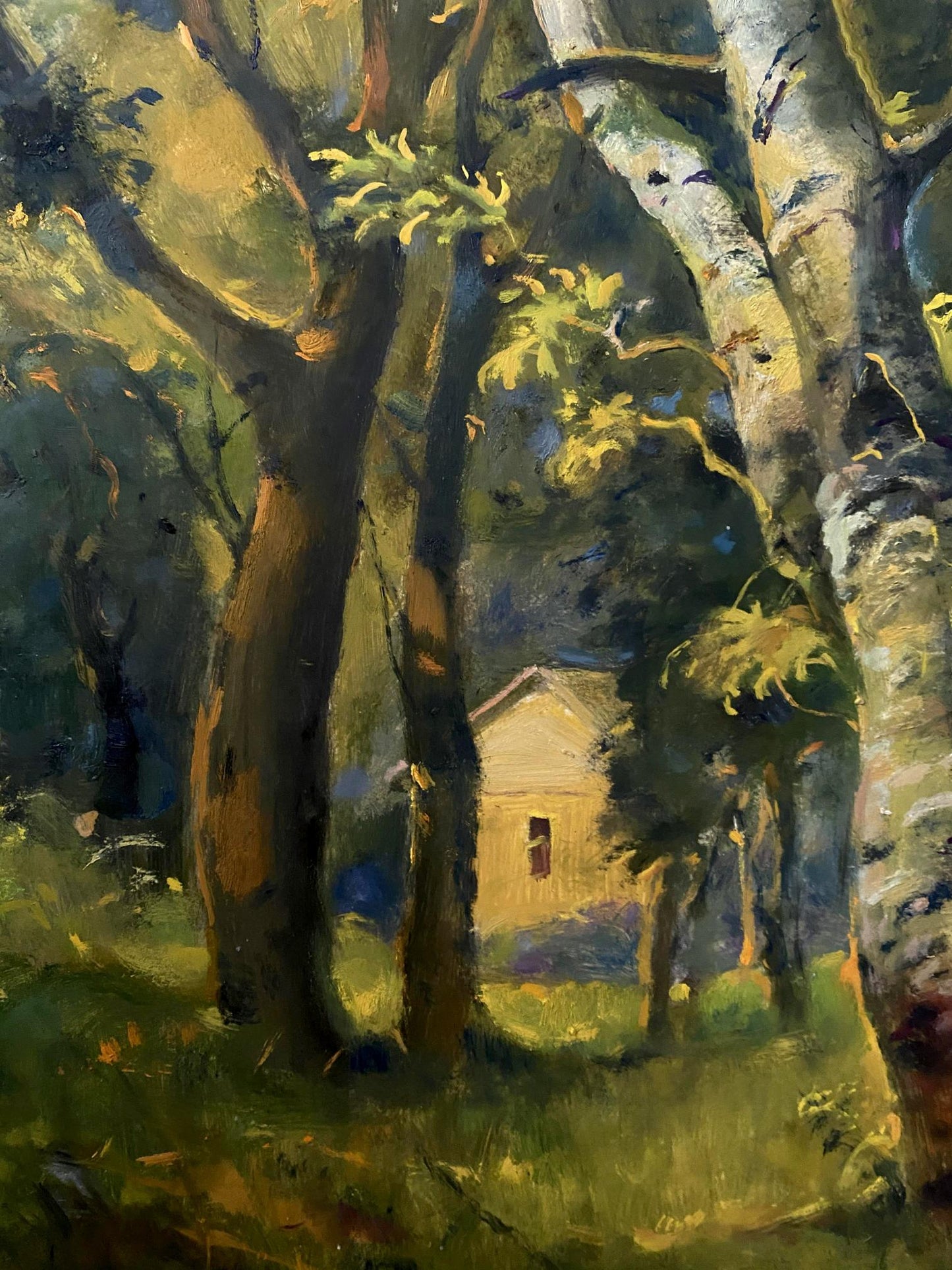 forest landscape art