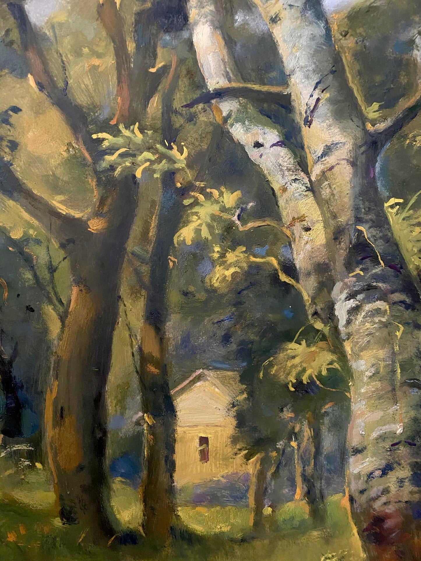 oil forest landscape