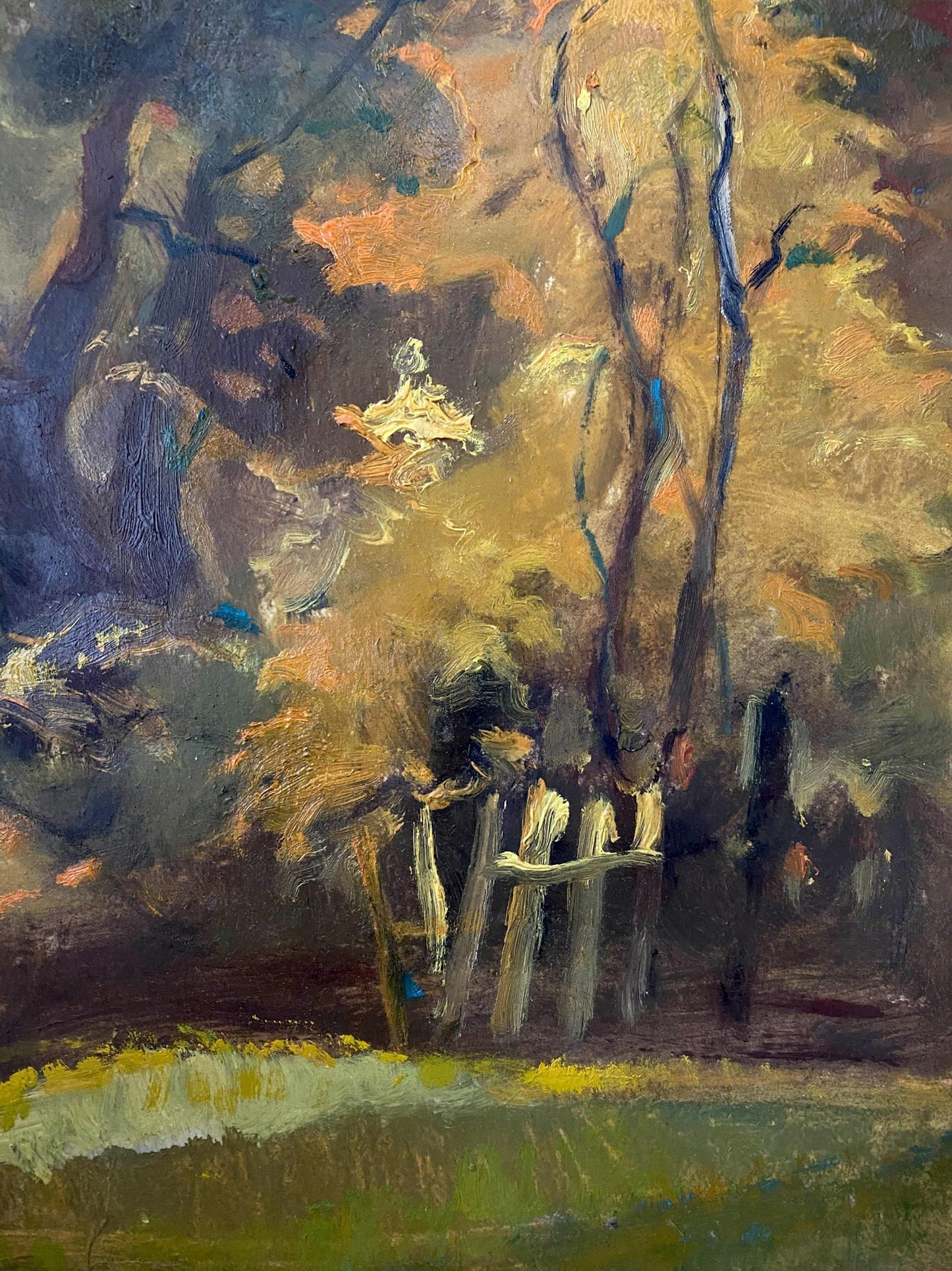 oil nature