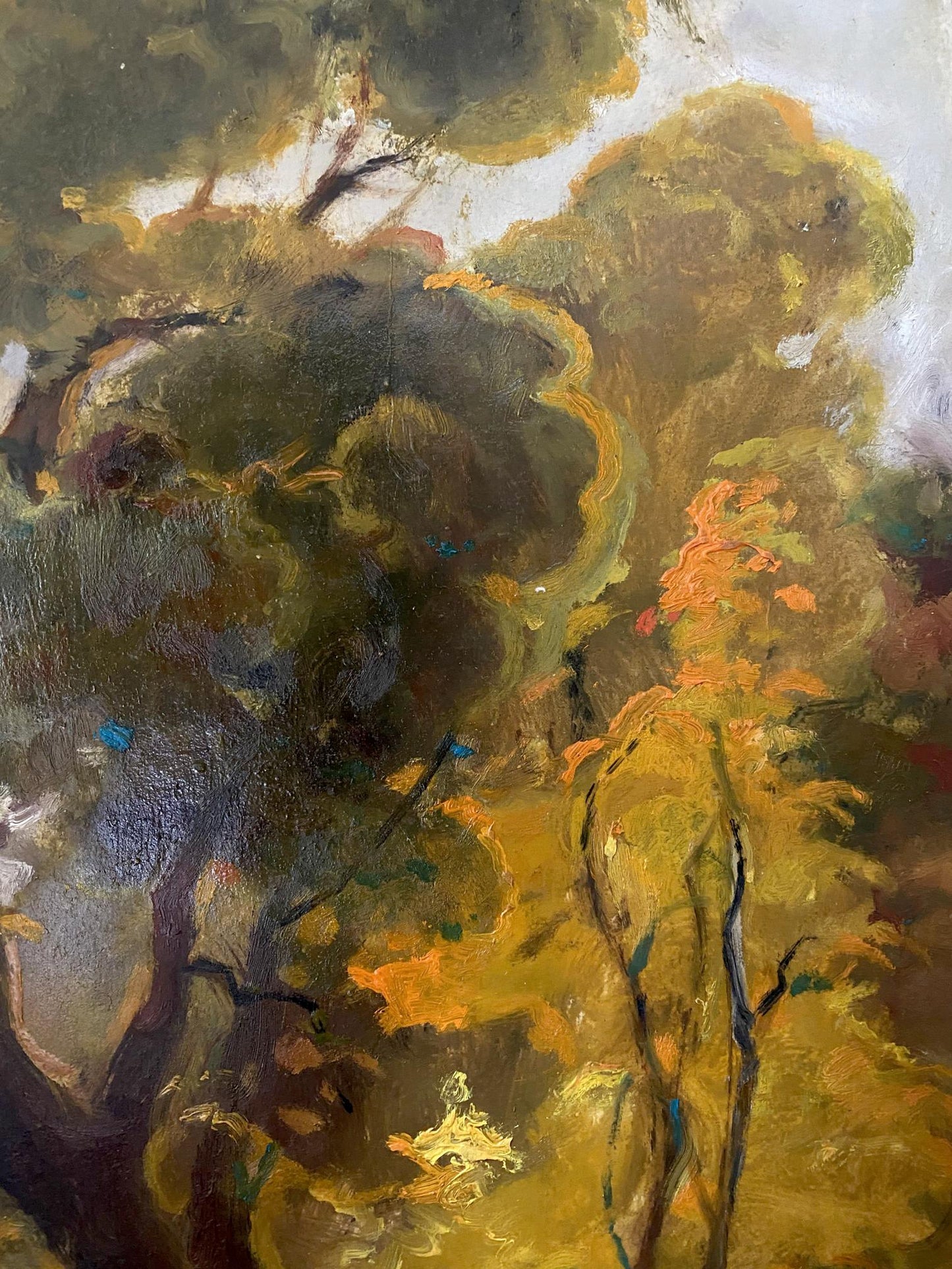 forest landscape art