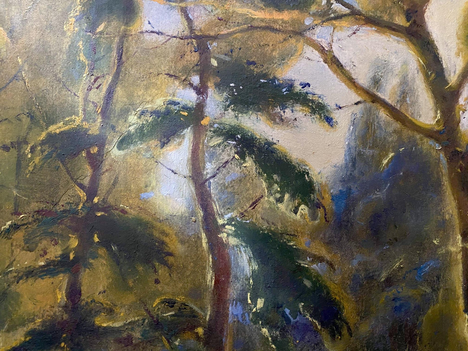 summer landscape