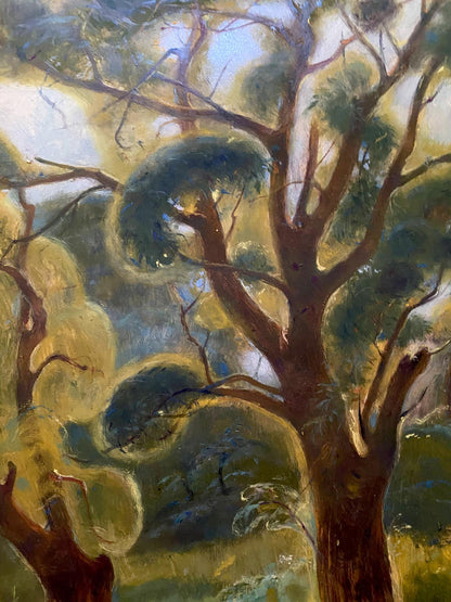 oil spring
