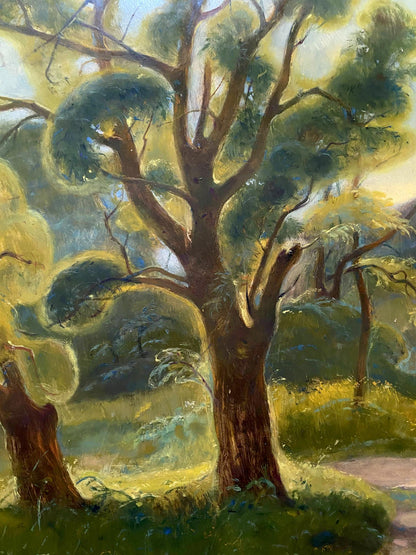 forest landscape