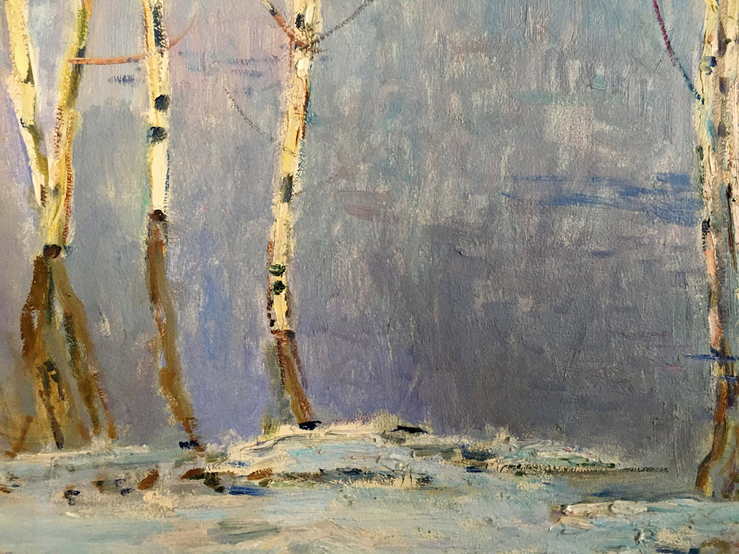 Oil painting Birch trees near the shore Glushchenko Nikolay Petrovich