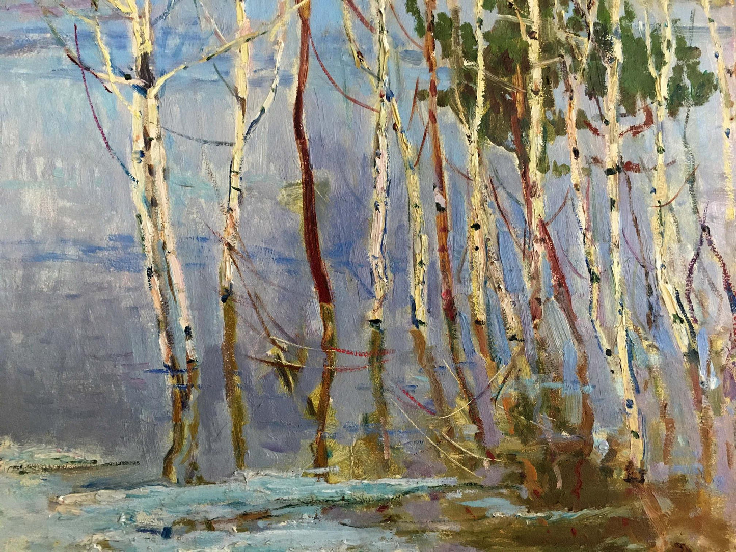 Oil painting Birch trees near the shore Glushchenko Nikolay Petrovich