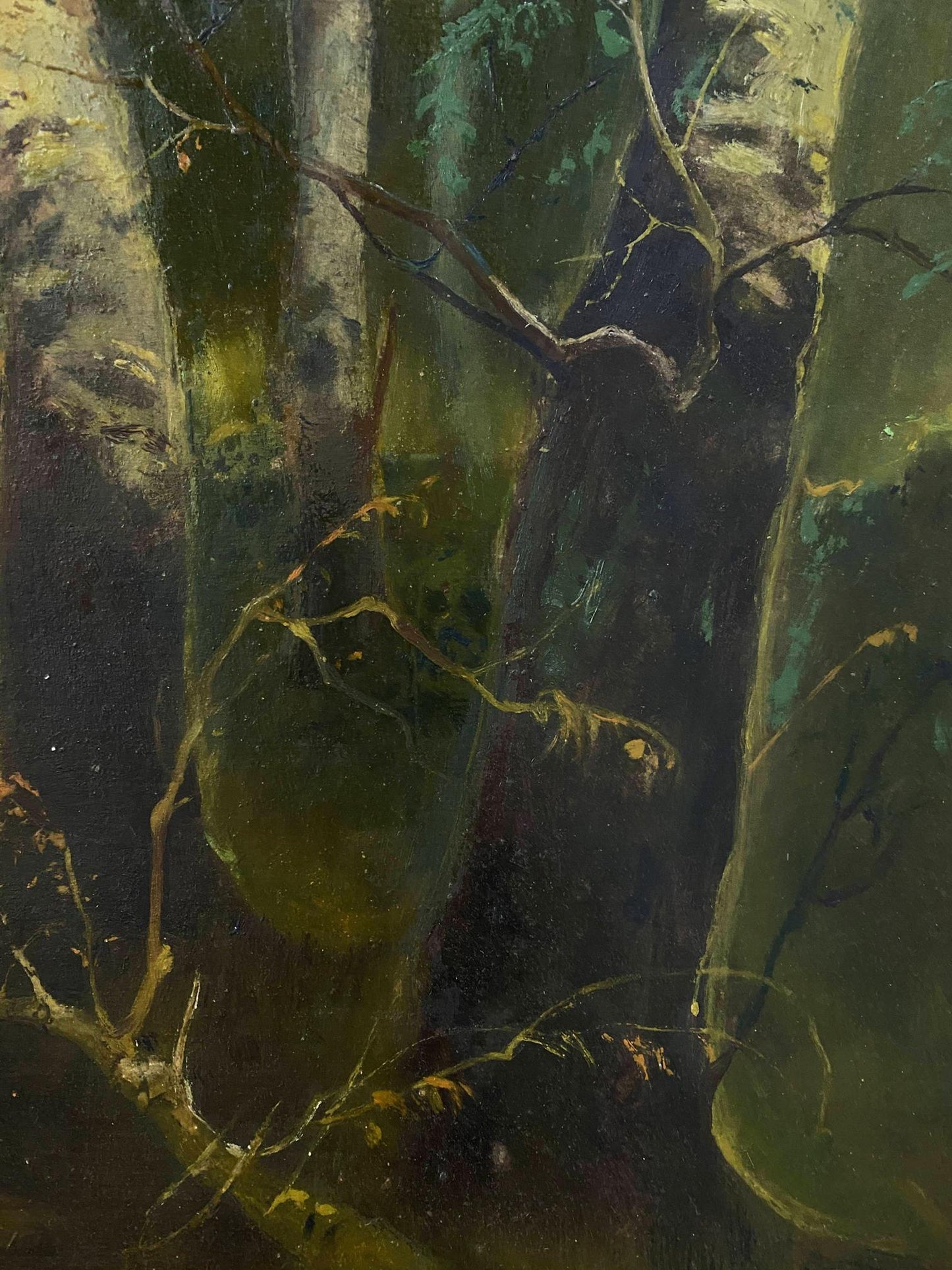 oil nature