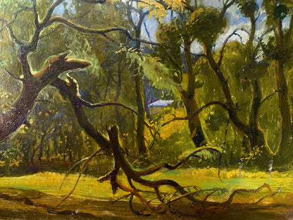 oil forest landscape