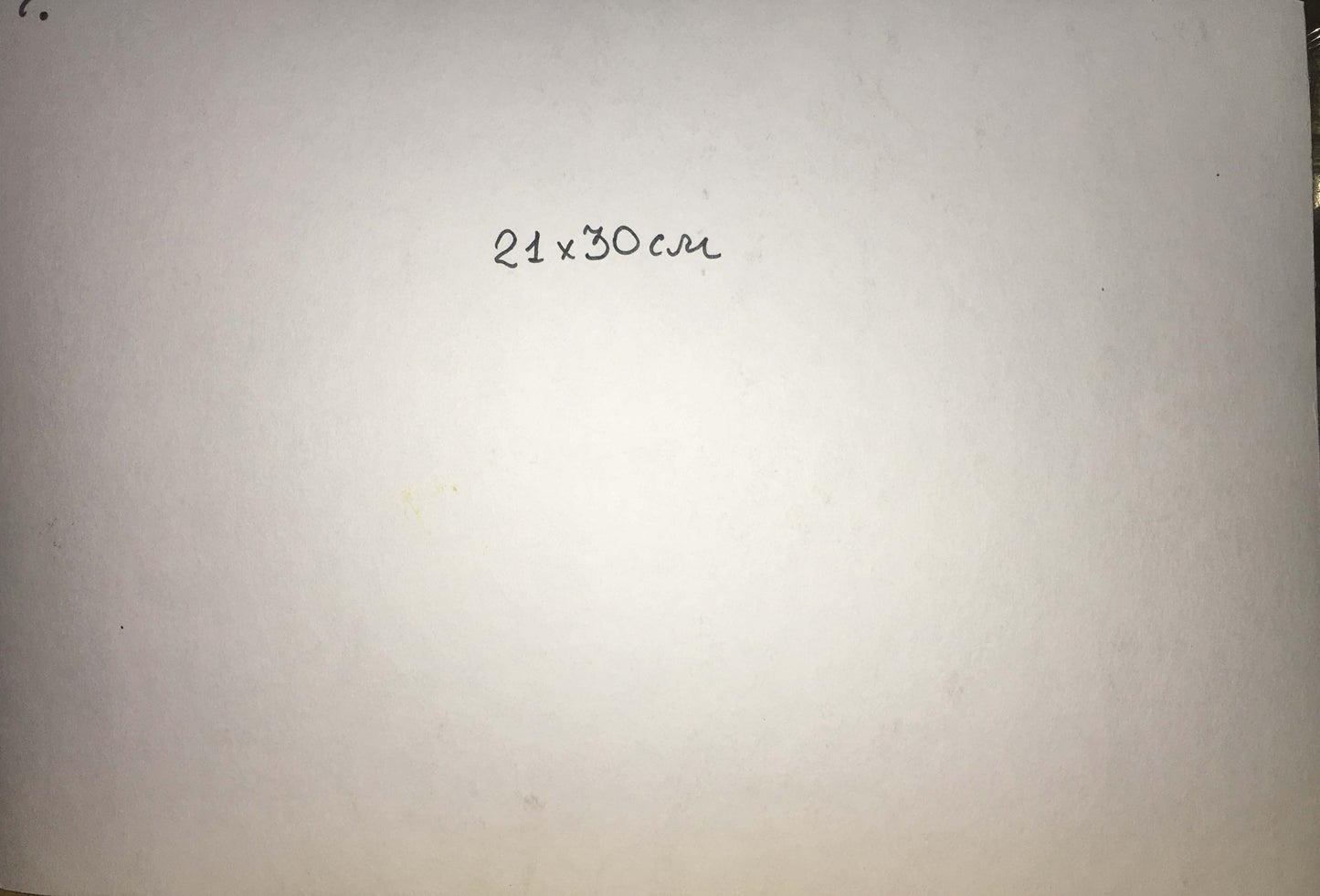 Watercolor painting Tranquil Thickets Viktor Mikhailichenko