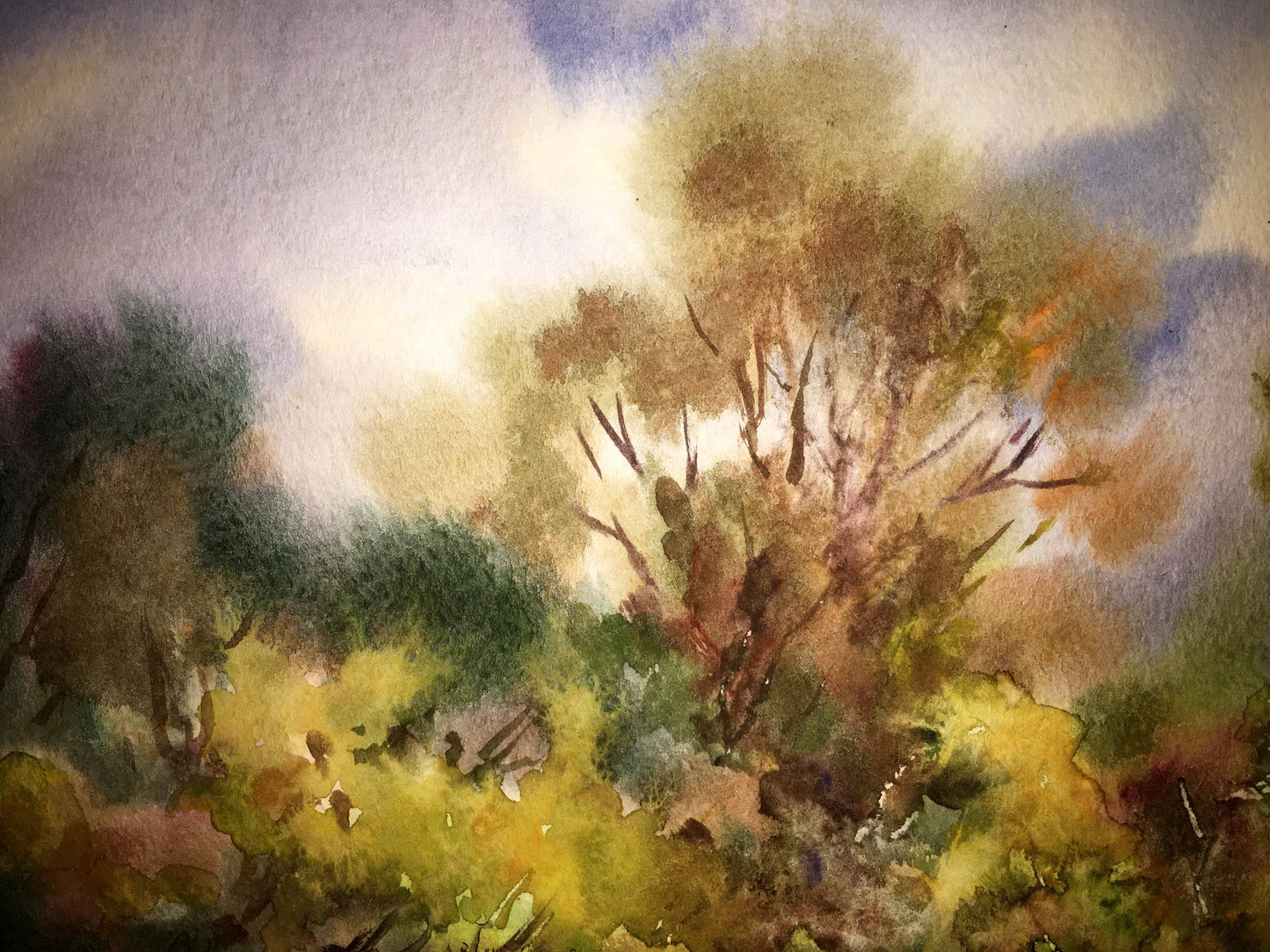 Watercolor painting Nature's Retreat Viktor Mikhailichenko