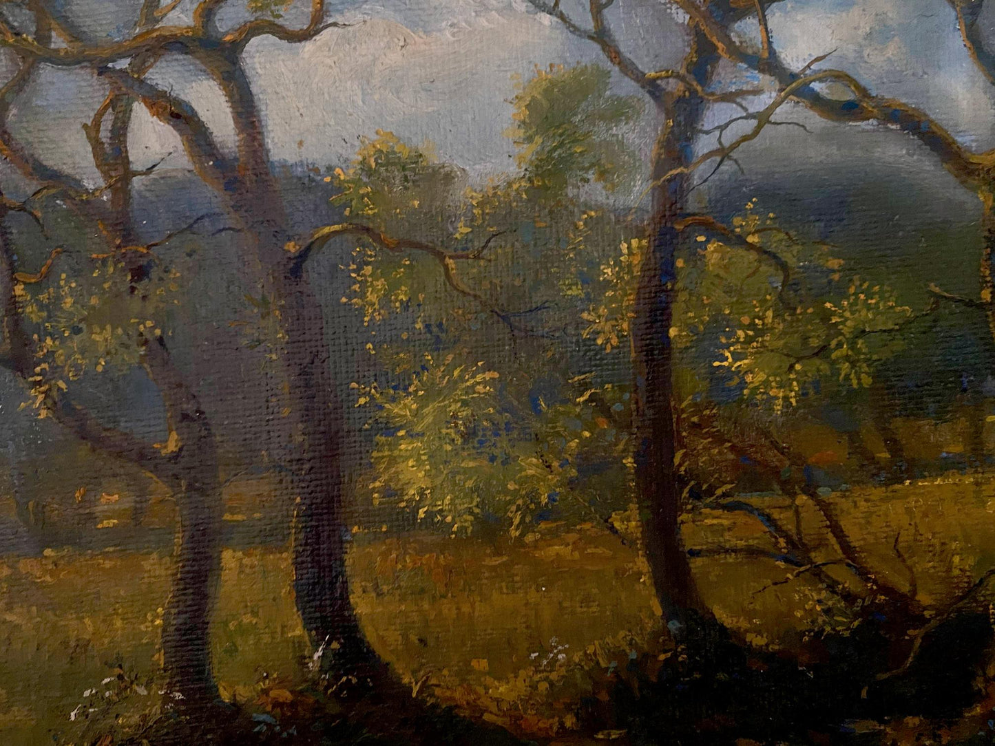 forest landscape art