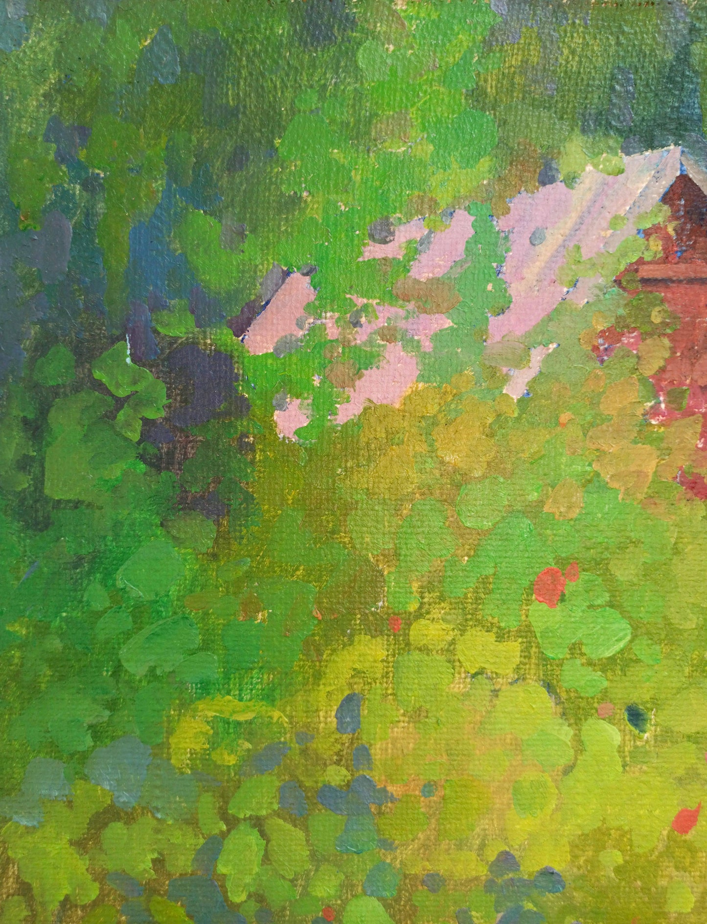 Summer garden