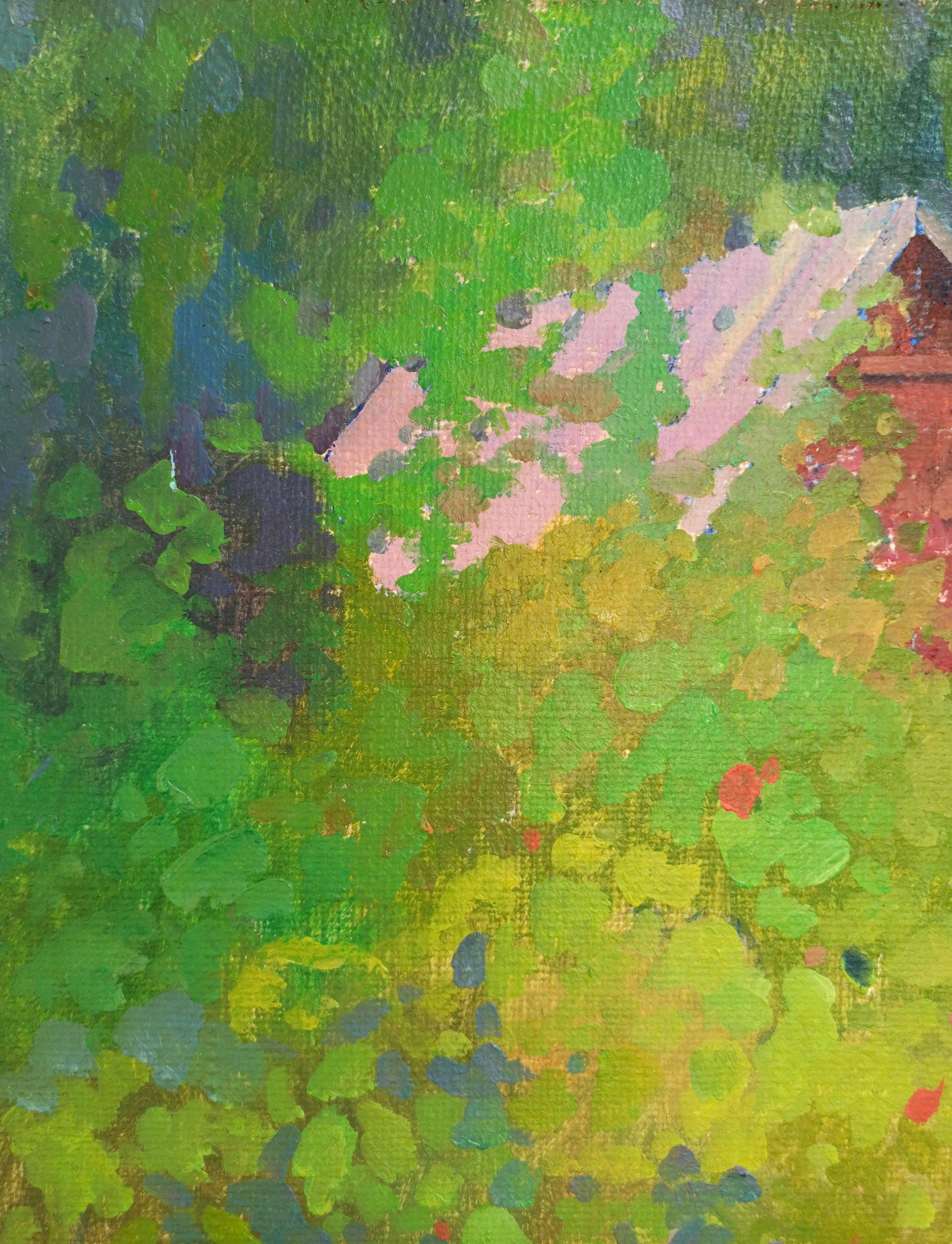 Summer garden