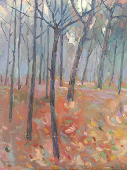 Nature Landscape  Forest landscape