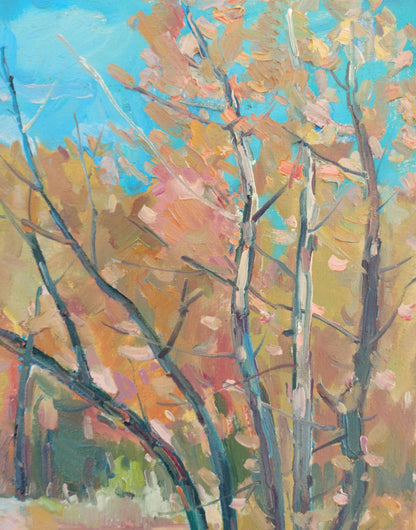 Nature Landscape 
