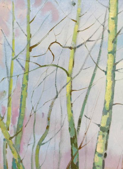 Spring forest