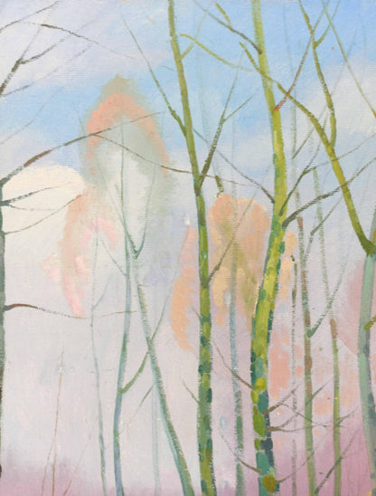 Nature Landscape 