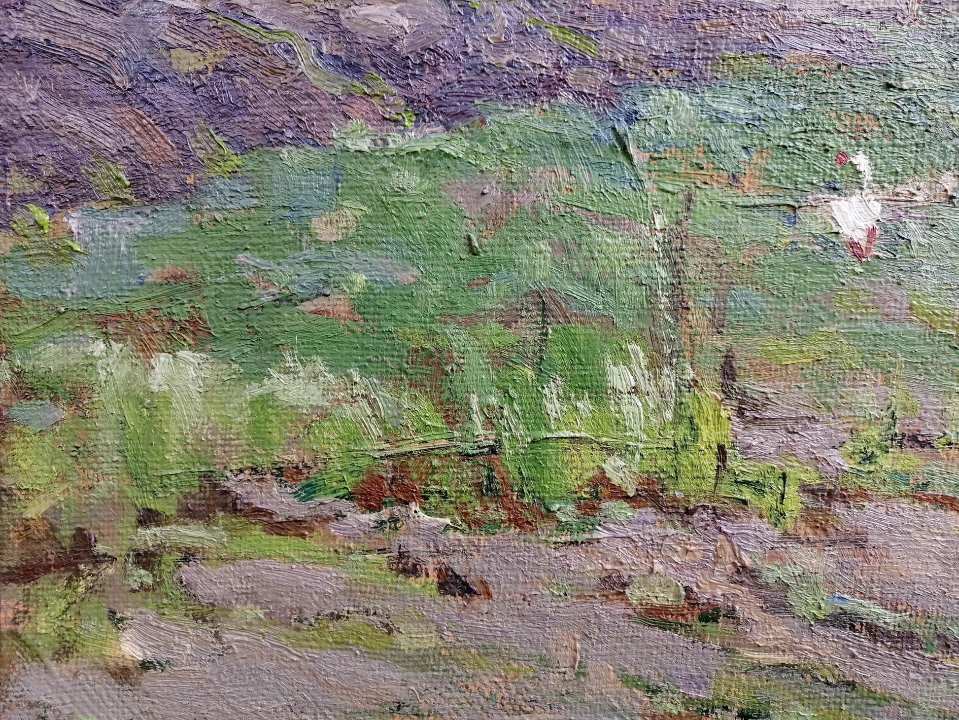 Oil Painting Nature Landscape