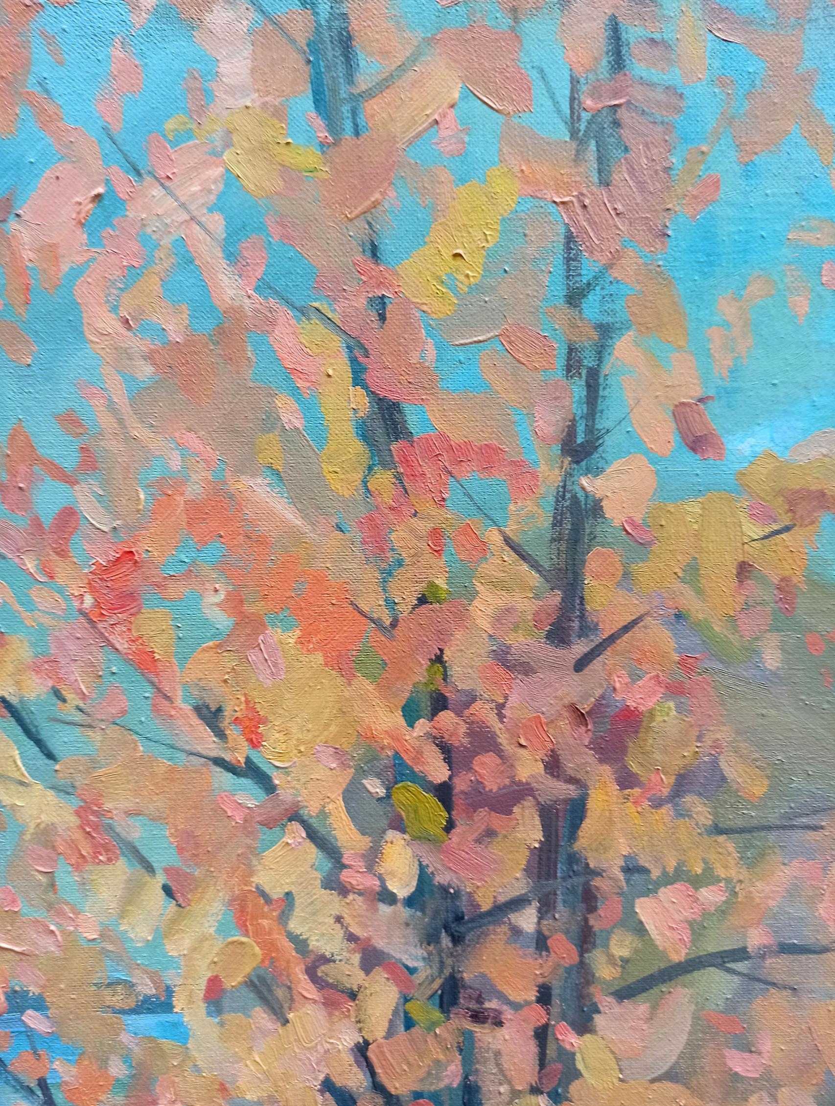 Nature Landscape 