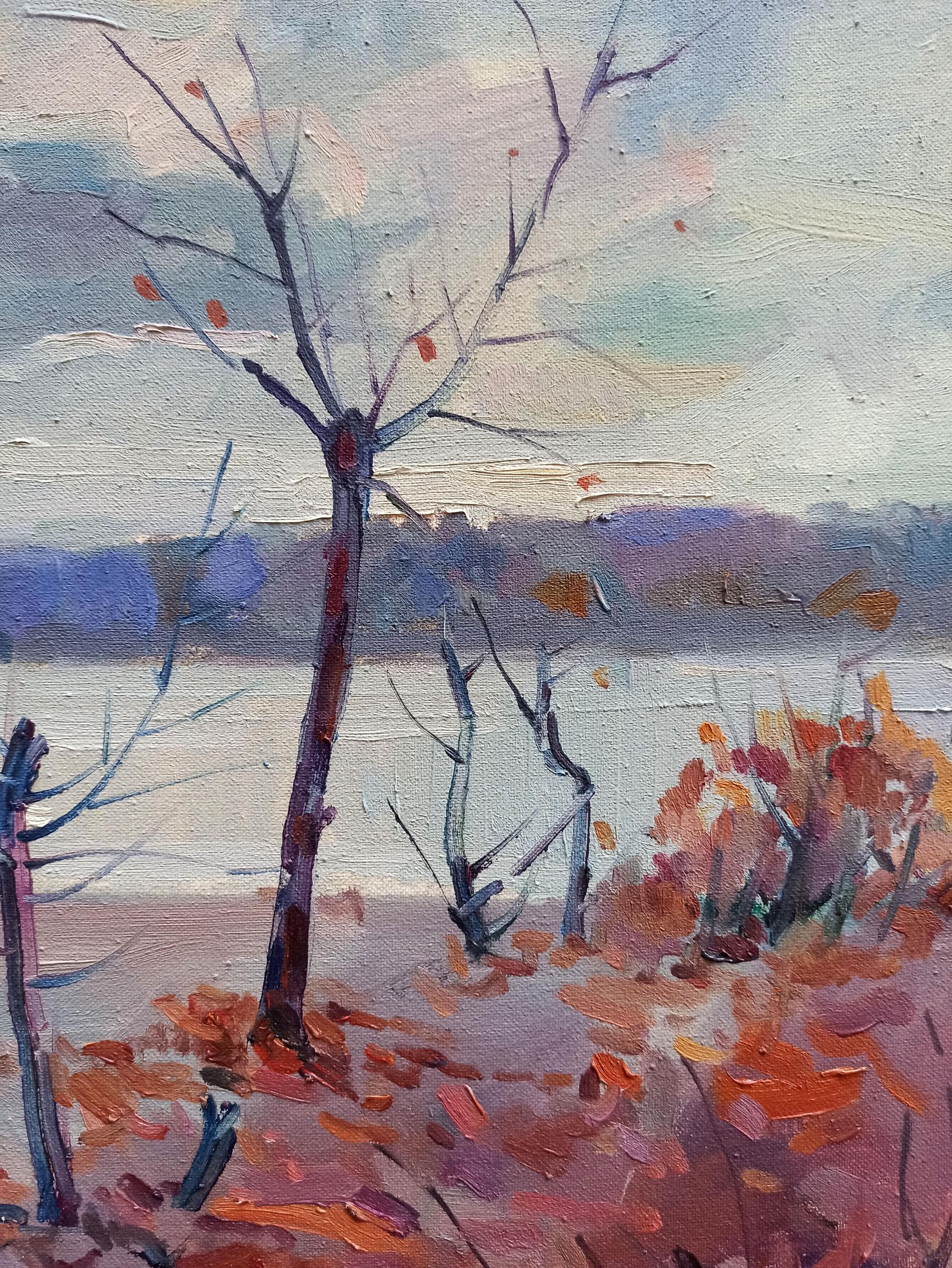 Nature Landscape 