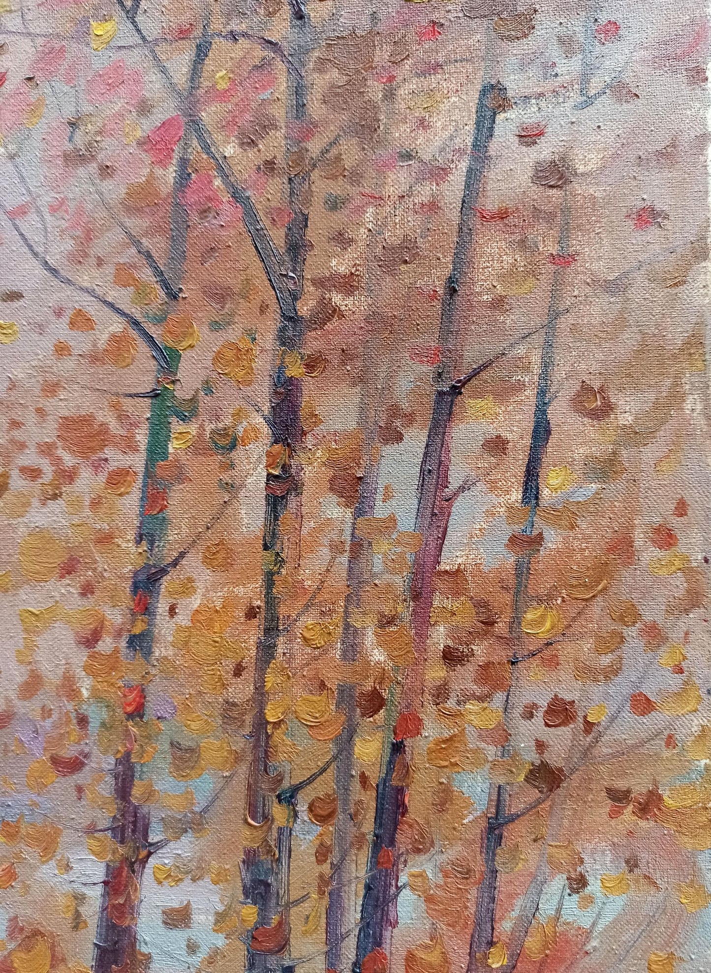 Nature Landscape 