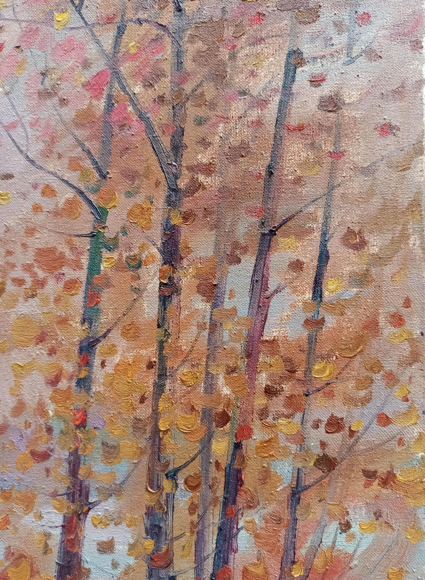 Nature Landscape 