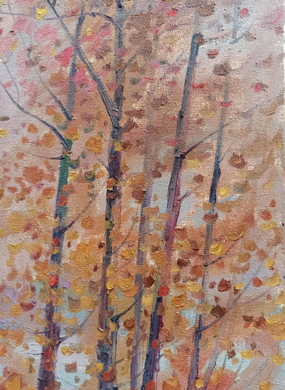 Nature Landscape 