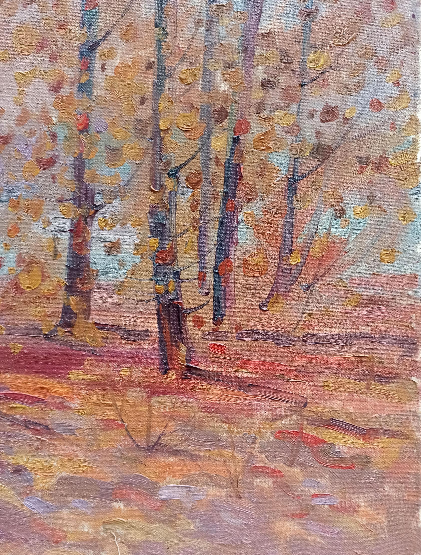 Autumn Forest Landscape 
