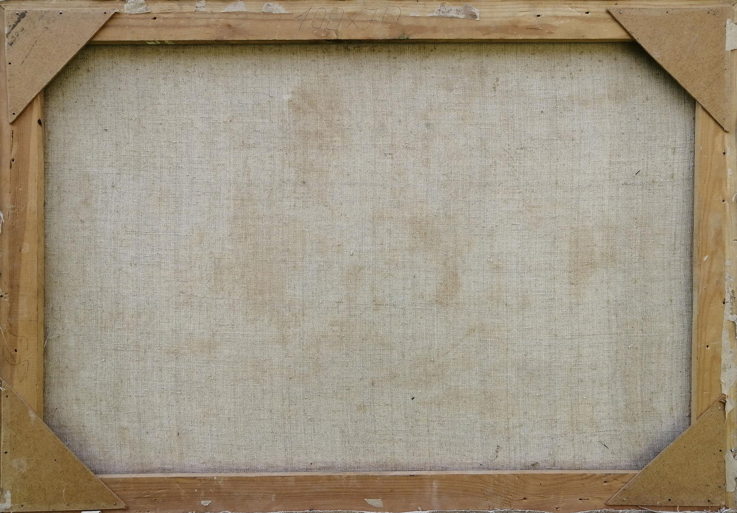 Oil painting Natural beauty Zhabinsky Leonid Andreevich