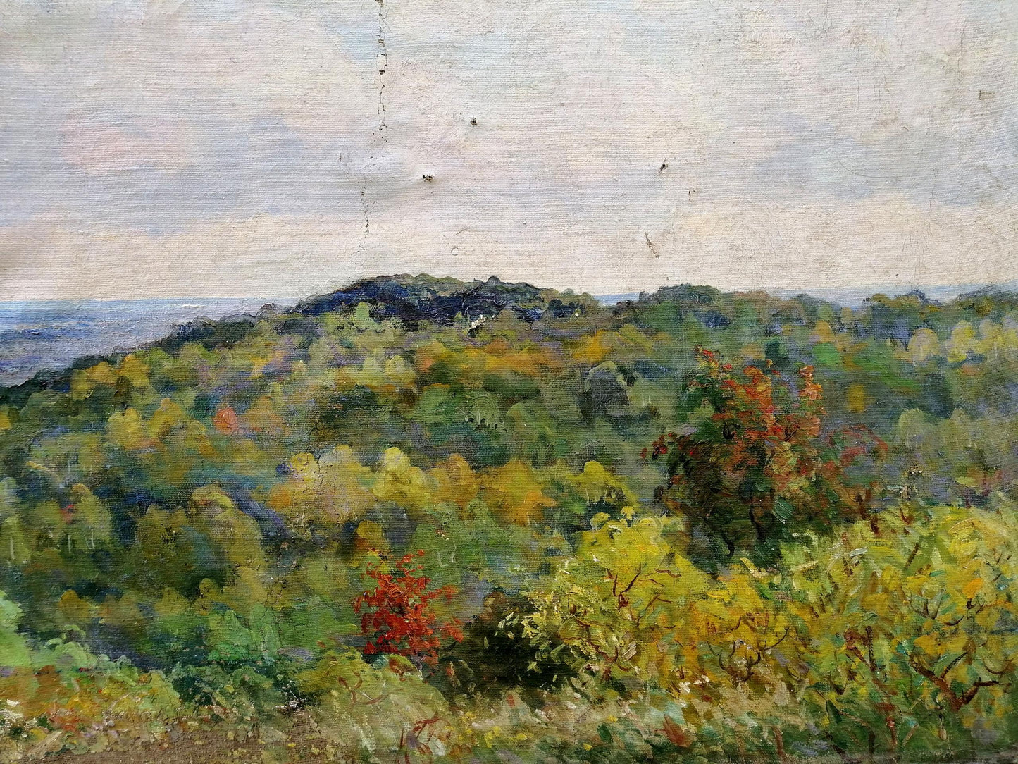 Oil painting On the Dnieper Nepiypivo Vasily Ignatievich
