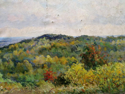 Oil painting On the Dnieper Nepiypivo Vasily Ignatievich