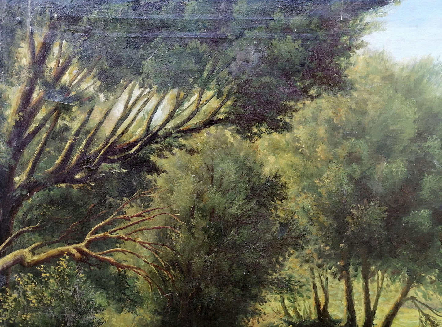 Oil painting In the thick of the forest Tolkach Anatoliy Illarionovich