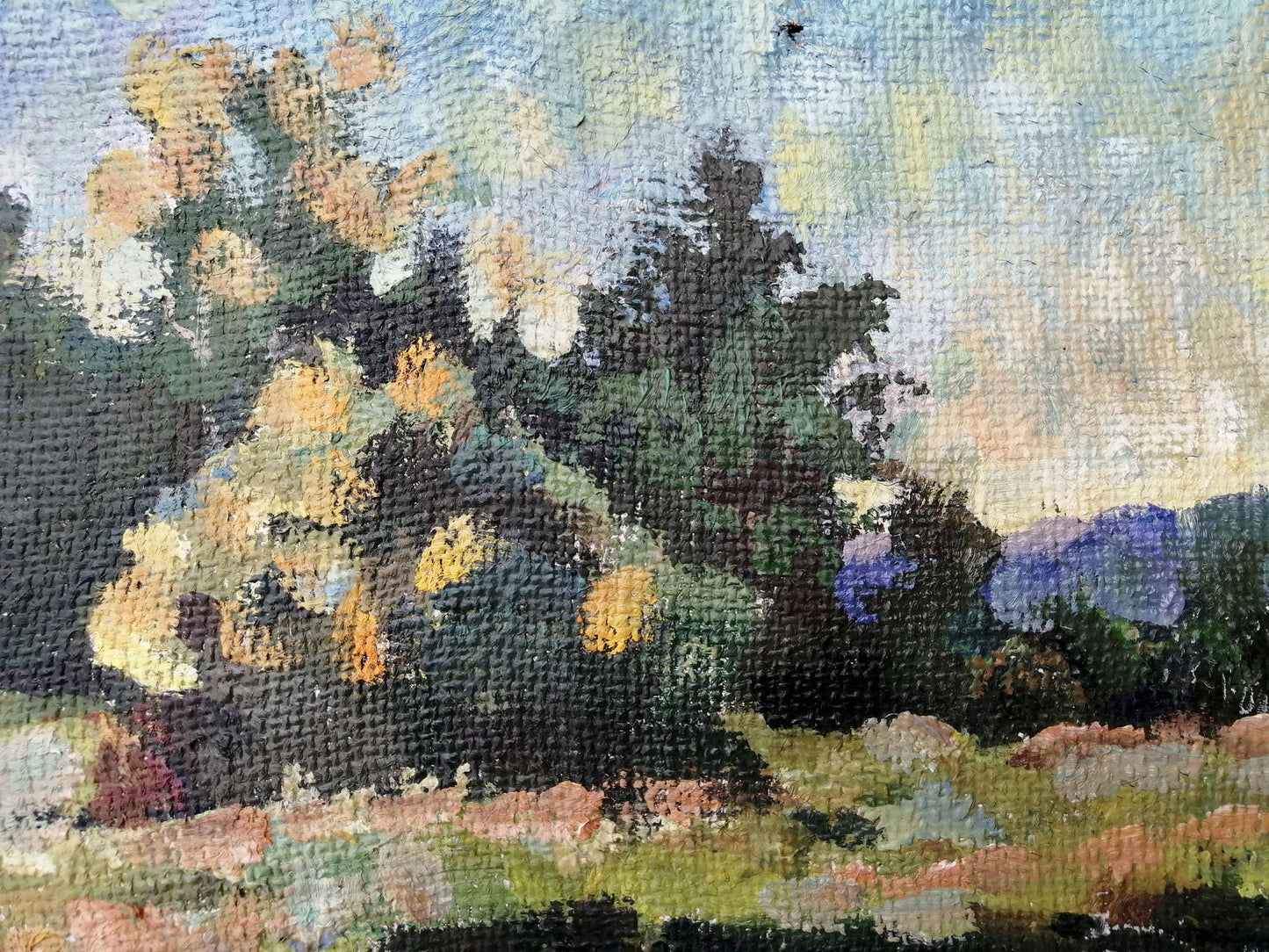 Oil painting Natural scenery Unknown artist