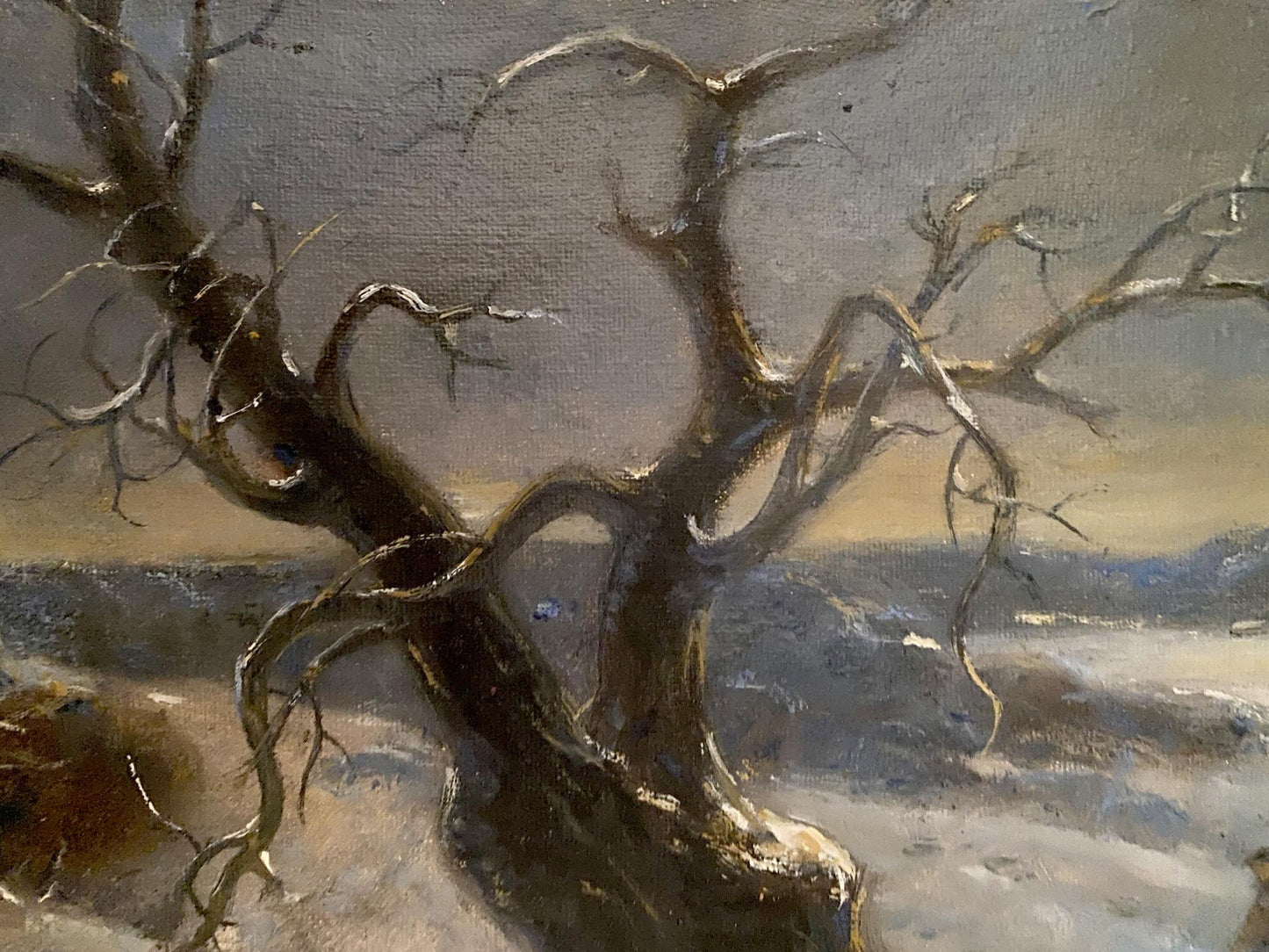 forest landscape