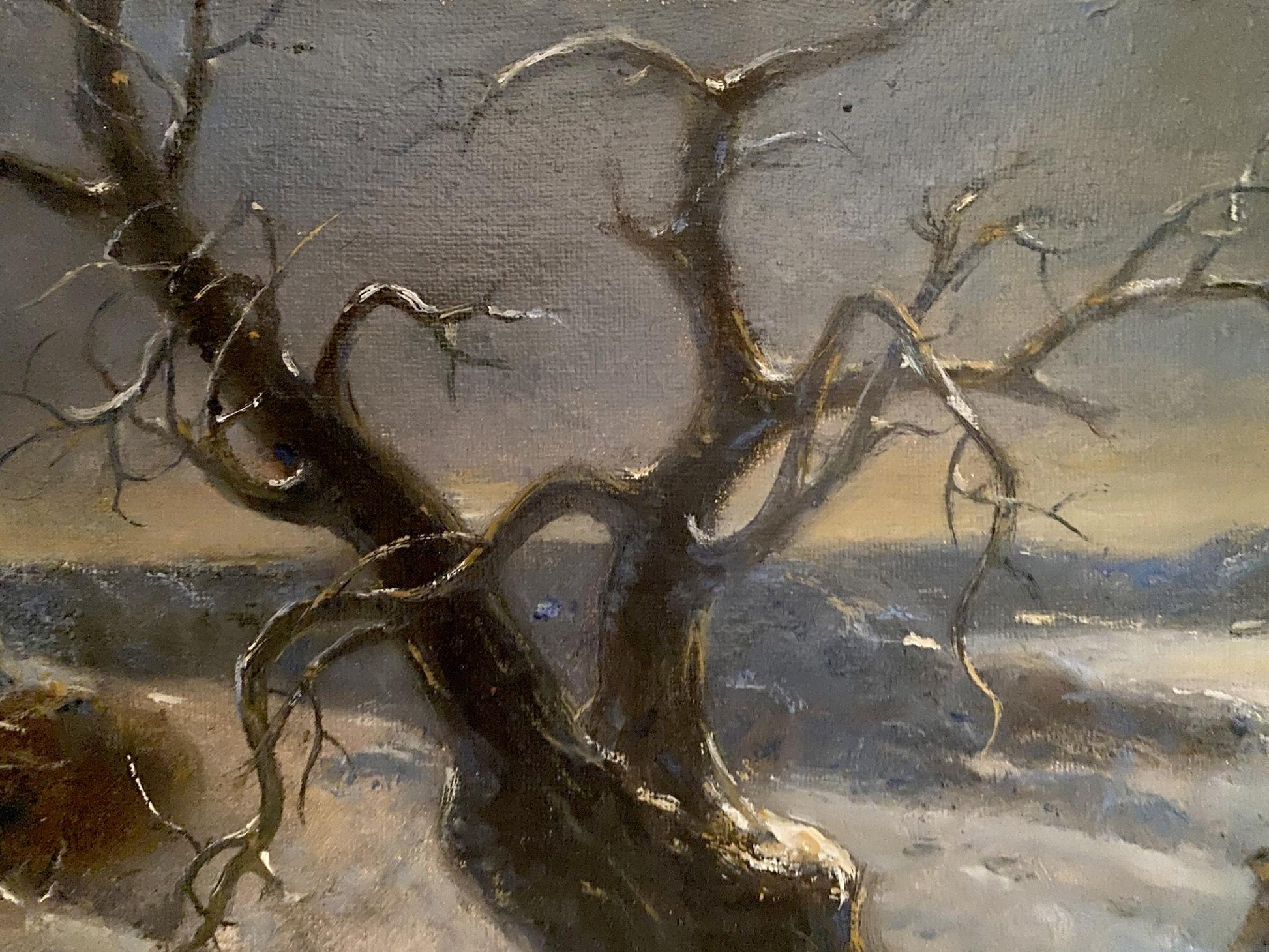 forest landscape