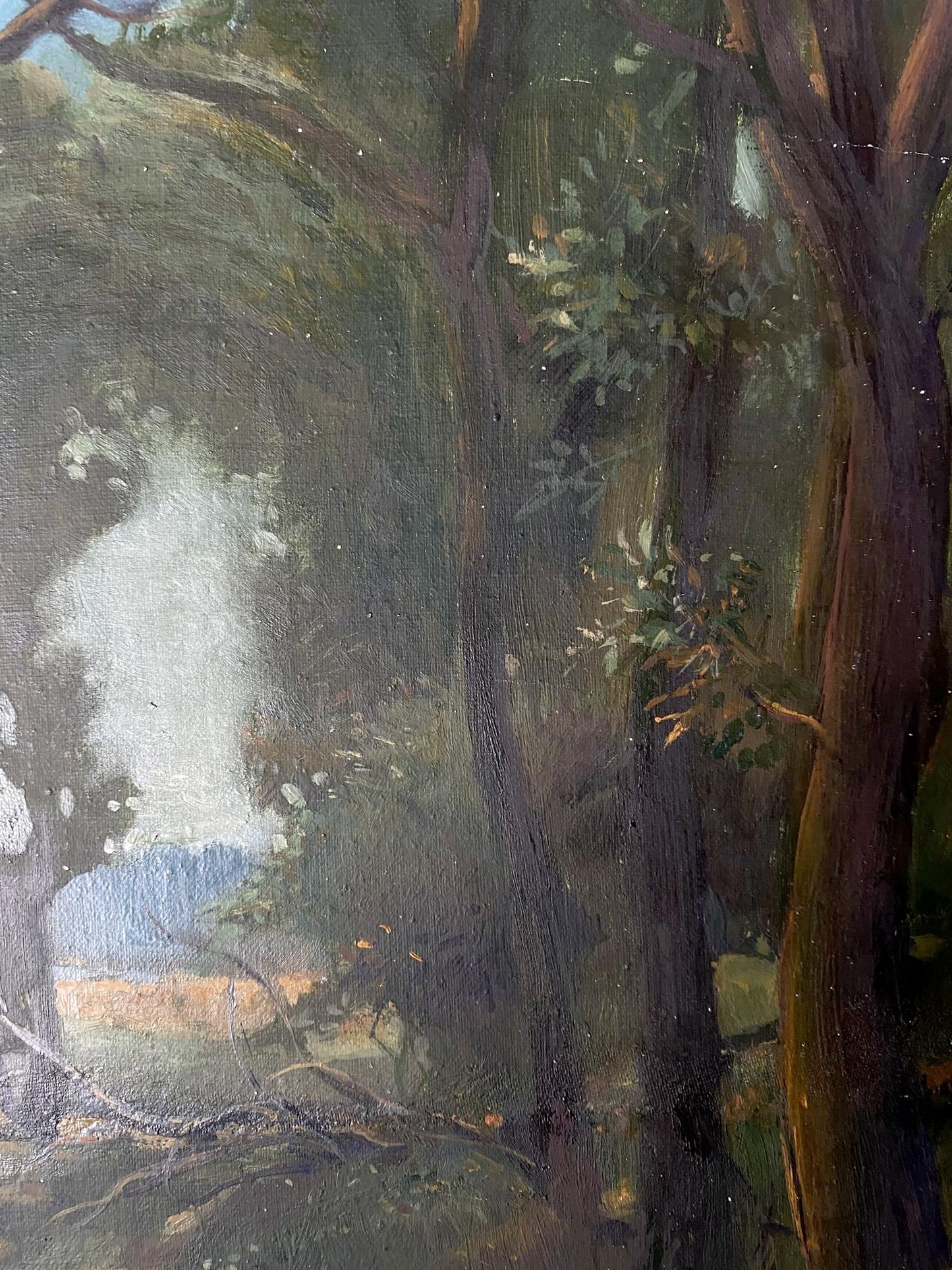 oil nature