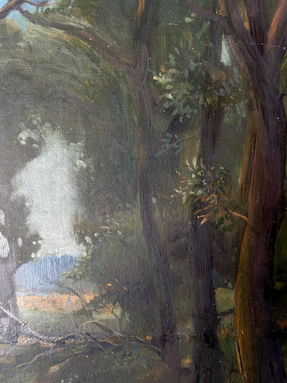 oil nature