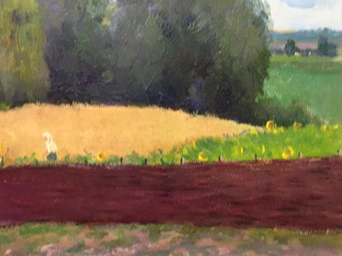 Oil painting Field of wheat and sunflowers Ivan Tsyupka