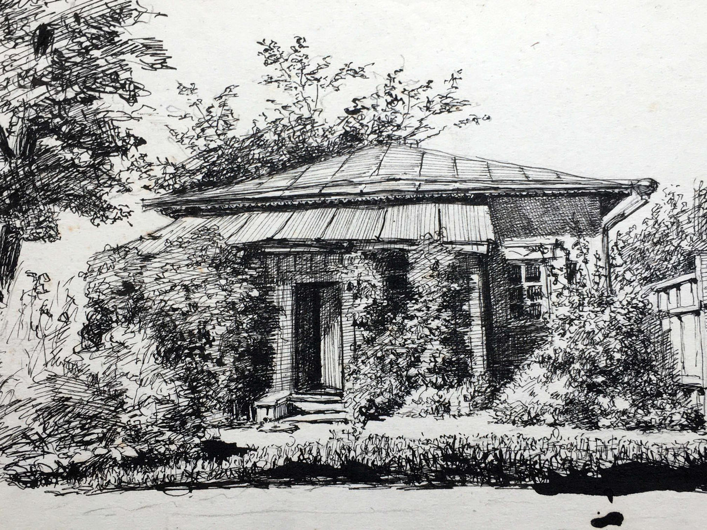 Ink painting Native home Dmitry Lednev