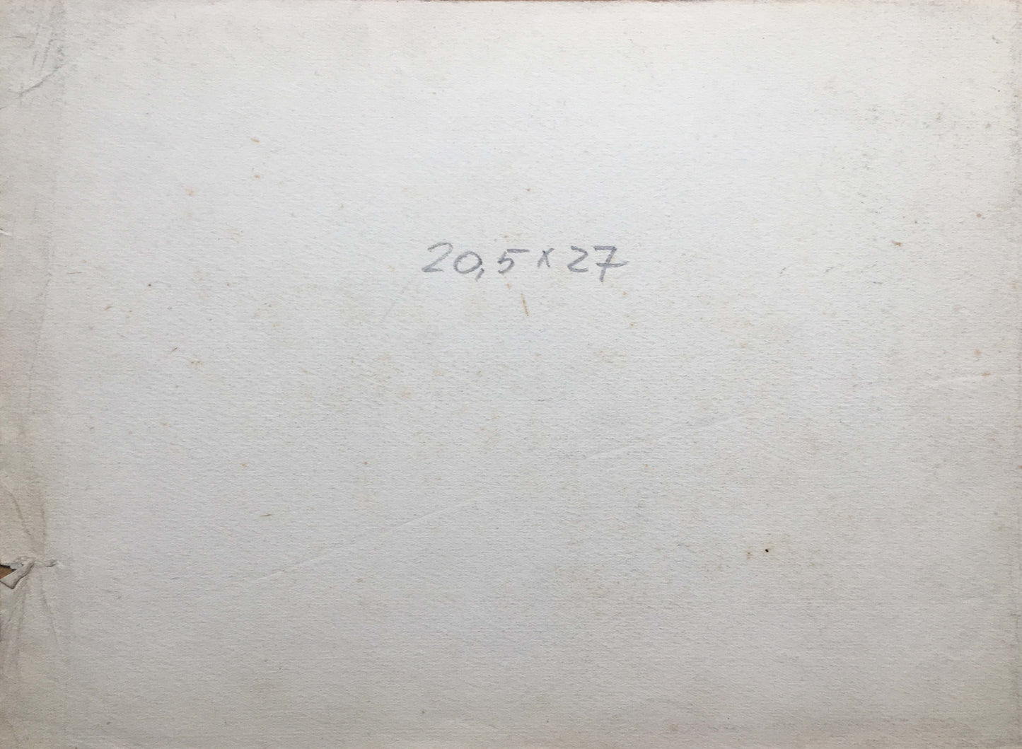 Pencil painting Flowering trees near the house Dmitry Lednev