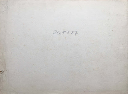 Pencil painting Flowering trees near the house Dmitry Lednev