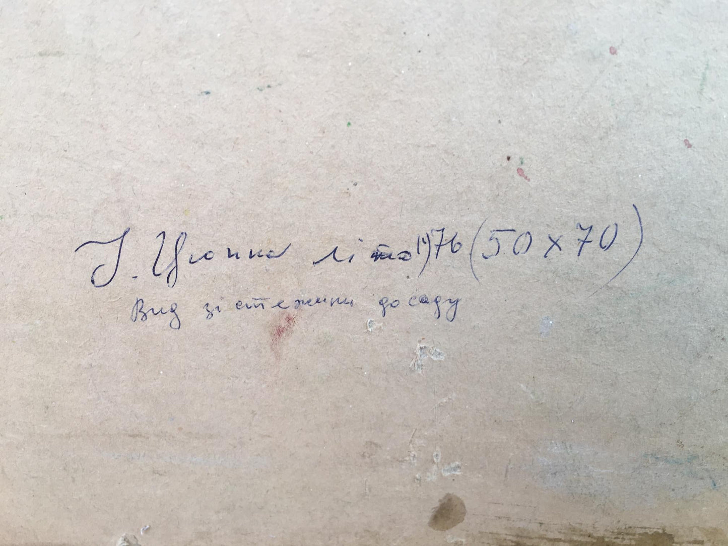 Oil painting View from the path to the garden Ivan Kirillovich Tsyupka