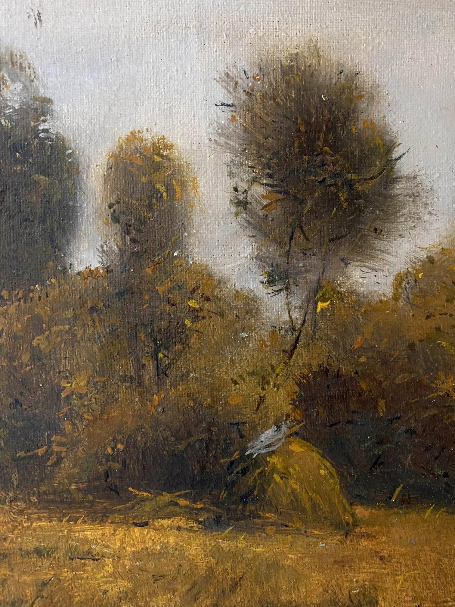 forest landscape