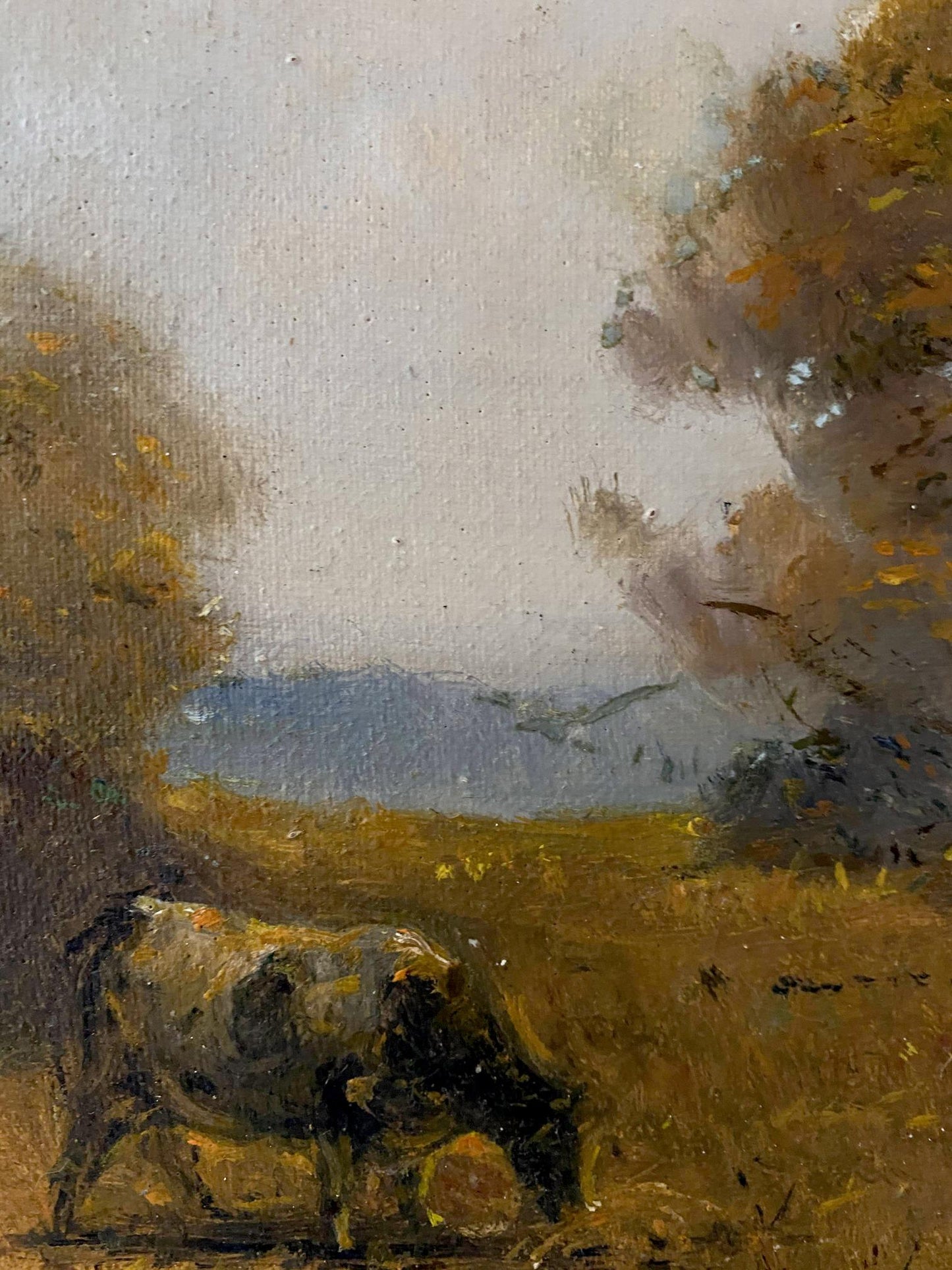 animal painting