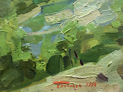 Oil painting River landscape Pianida Boris Nikitich