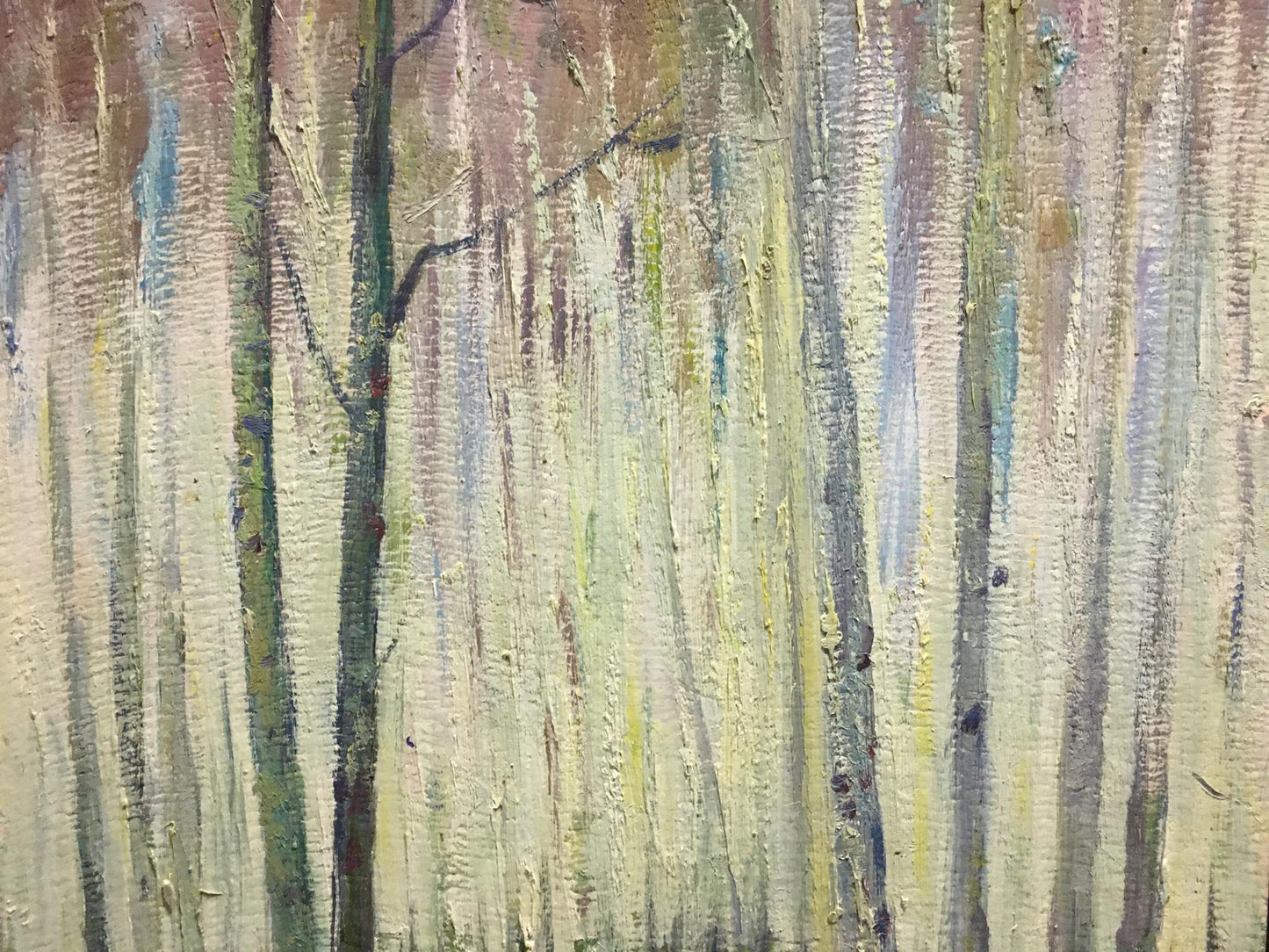 Oil painting Birch Grove Kucherov Alexander Alexandrovich