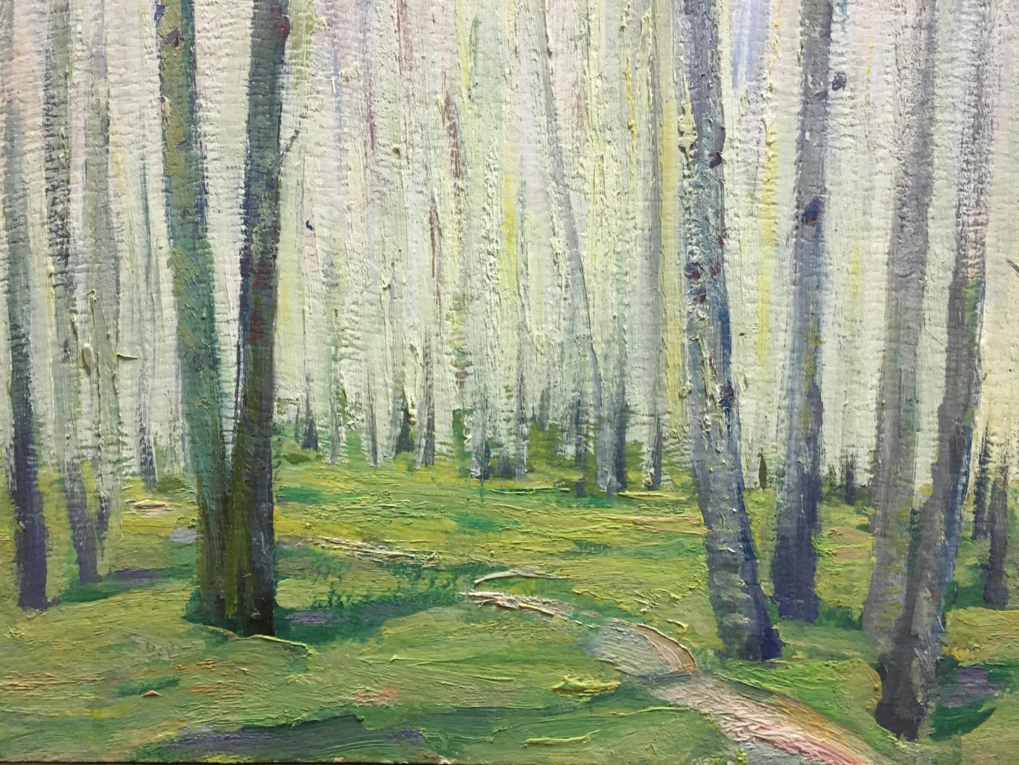 Oil painting Birch Grove Kucherov Alexander Alexandrovich