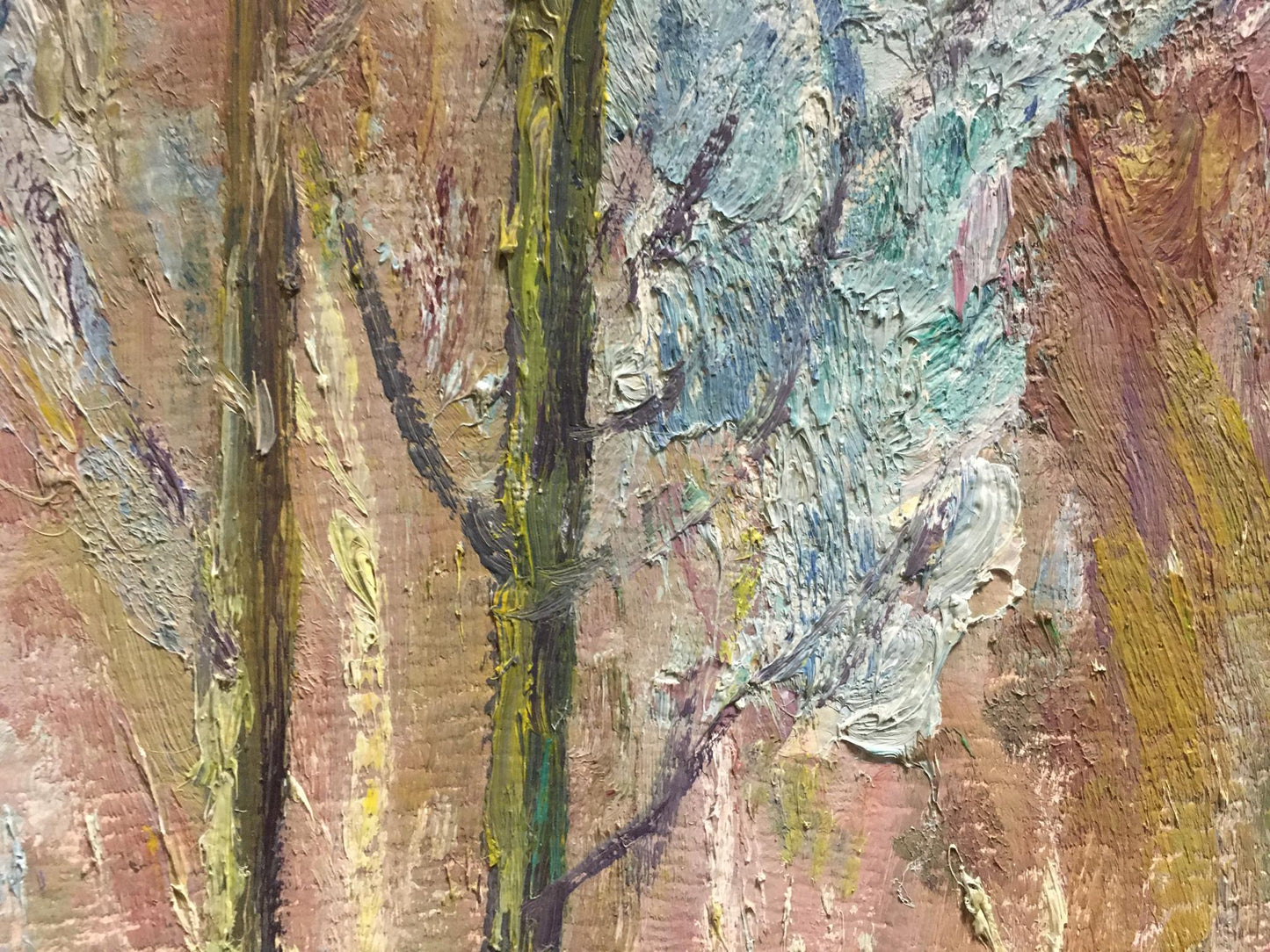 Oil painting Birch Grove Kucherov Alexander Alexandrovich