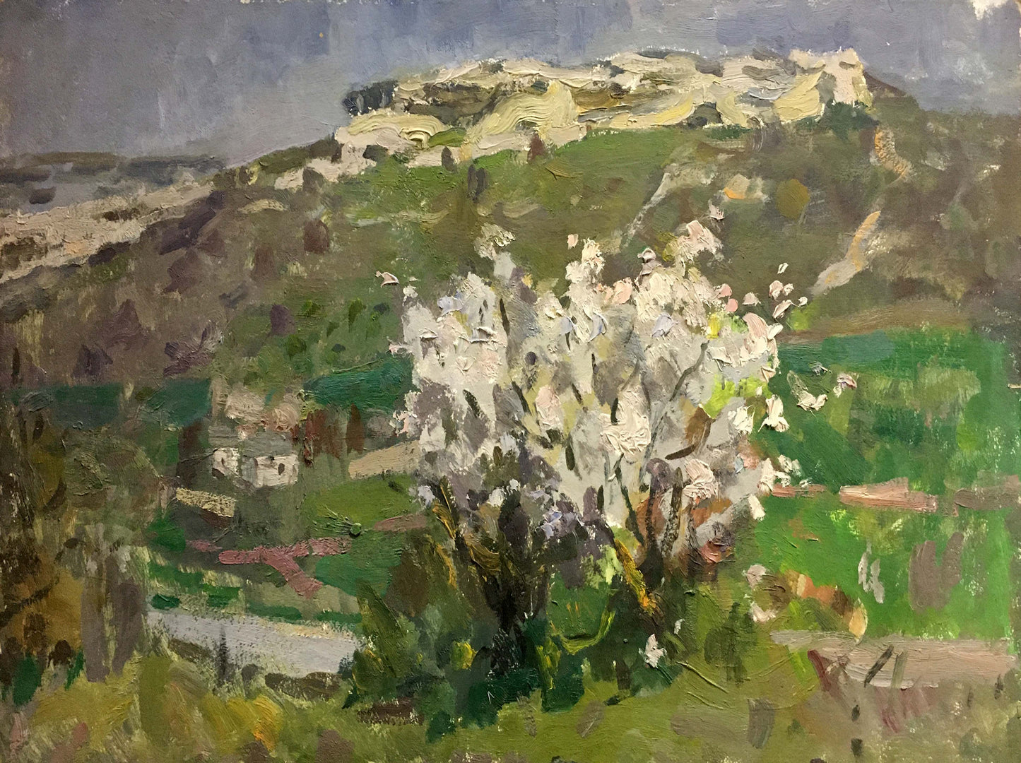 Oil painting Blooming tree Golub Stepan Filippovich