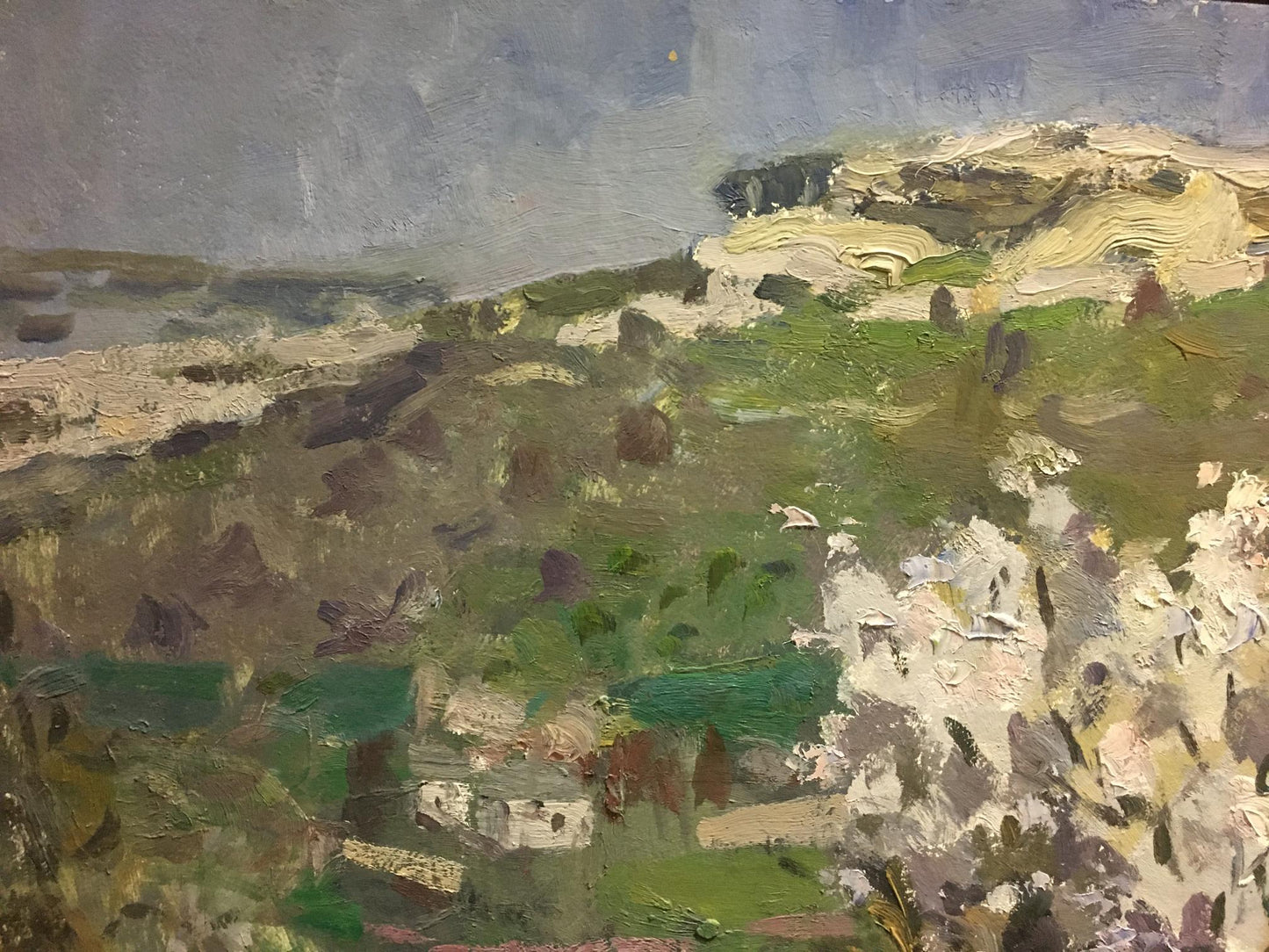 Oil painting Blooming tree Golub Stepan Filippovich