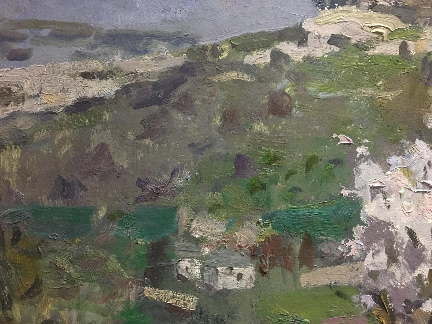 Oil painting Blooming tree Golub Stepan Filippovich